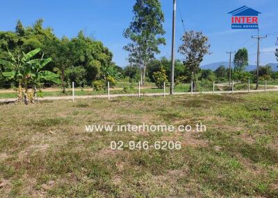 Vacant land with greenery and fencing