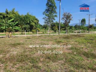 Vacant land with greenery and fencing