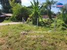 Exterior land plot with greenery and fencing