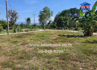 Open land with grass and trees