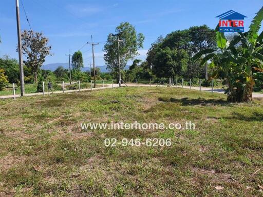 Open land with grass and trees