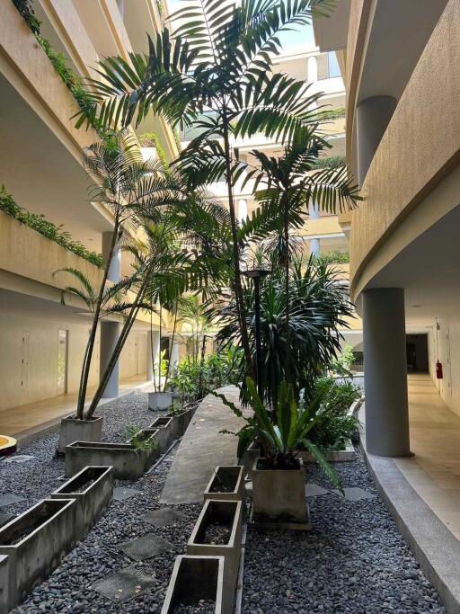 Building interior with greenery
