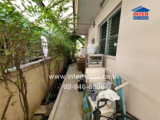 Outdoor walkway with plants