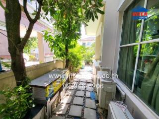 Shaded outdoor space with potted plants and pathway