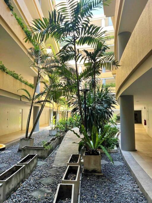 Indoor garden area with plants and pebble pathways
