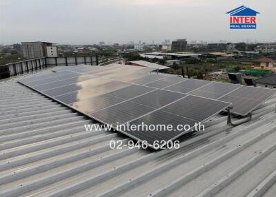 Rooftop with solar panels and city view