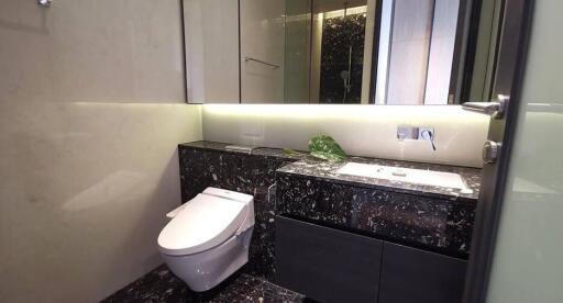 Modern bathroom with sleek design featuring a toilet and a black marble countertop.