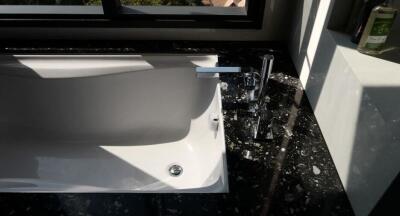 Modern bathroom with a sleek white bathtub and black marble countertops