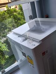 Washing machine in a laundry area with a glass window offering a view of greenery.