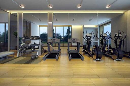 Modern home gym with exercise equipment