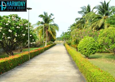 Well-maintained pathway lined with lush greenery and palm trees