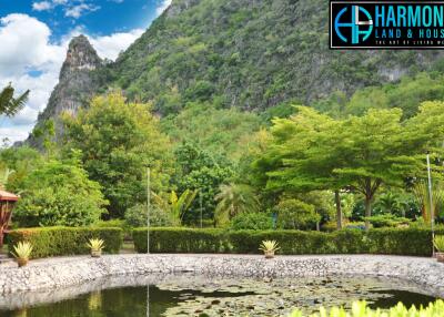 Beautiful garden with a pond and surrounding greenery