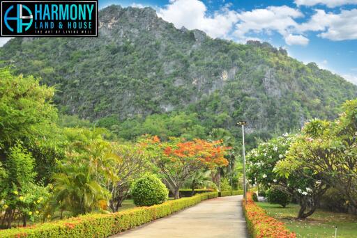 Scenic outdoor view with lush greenery and a mountain in the background