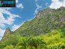 View of lush green hills and a clear sky