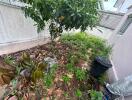 Overgrown backyard with trees and plants