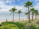 Beachfront area with palm trees and a view of the ocean