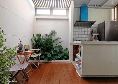 Modern kitchen area with skylight and indoor plants