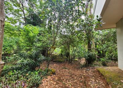 Lush garden area with dense greenery and trees