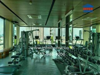 Modern gym with city views