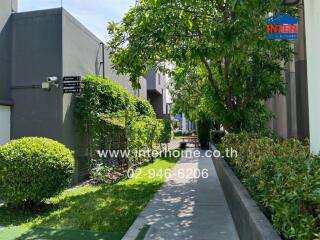 Outdoor pathway with greenery and signage