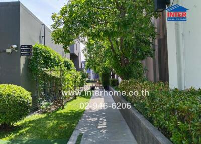 Pathway through green garden area leading to a building