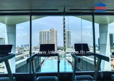 Gym with treadmills overlooking the swimming pool and city skyline