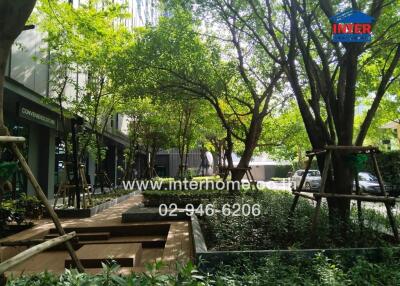 Outdoor living space with greenery and building surroundings