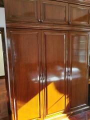 Large wooden closet with glossy finish