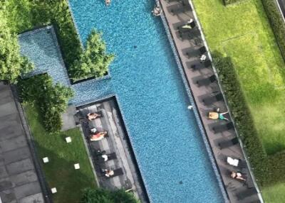 Aerial view of a modern outdoor pool area with surrounding lounge chairs and greenery