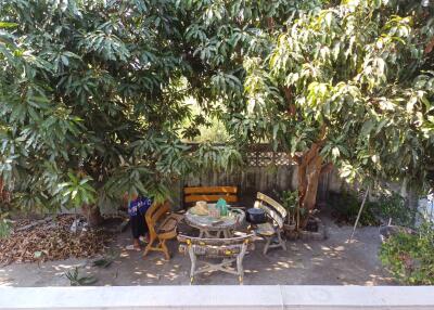 Garden seating area under trees