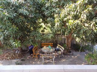 Garden seating area under trees