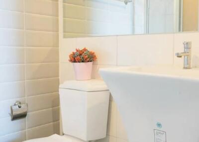 Modern bathroom with white tiles