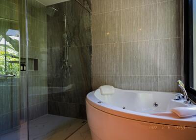 Modern bathroom with glass shower and jacuzzi tub