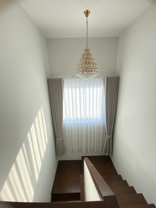 Staircase with chandelier and window