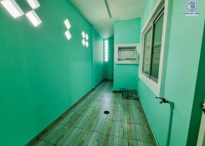 Utility room with windows and bright green walls