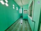 Utility room with windows and bright green walls