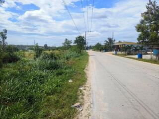 Road and greenery