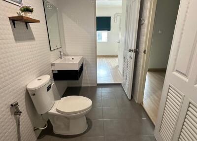 Modern bathroom with toilet, sink, mirror, and a small plant on a shelf