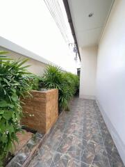 Narrow outdoor walkway with plants and tiled floor