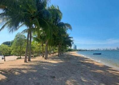 Beachfront with palm trees and city skyline