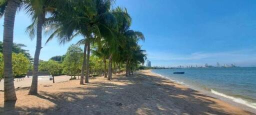 Beachfront with palm trees and city skyline