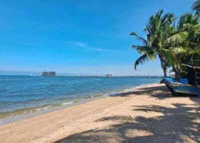 Beachfront view with palm trees and a pier in the distance