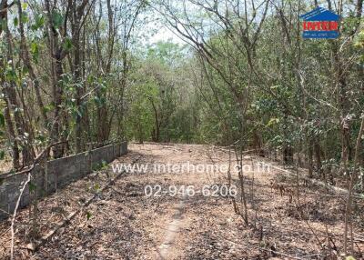 forest land for sale with contact information