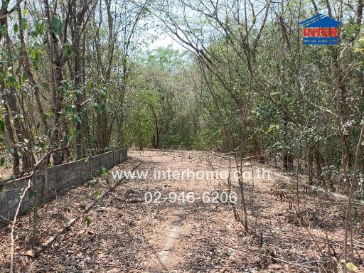 forest land for sale with contact information