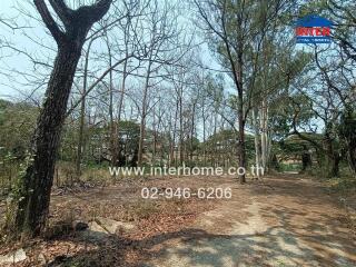 Front view of property with surrounding trees