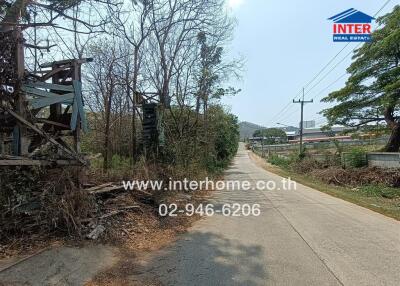 View of a quiet rural road with surrounding trees and utility poles