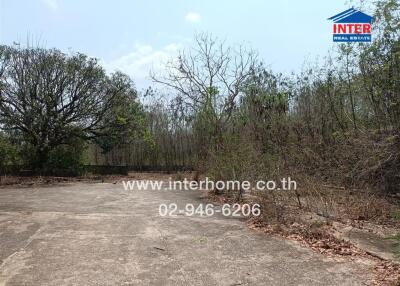 Vacant land with surrounding trees