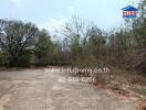 Vacant land with surrounding trees