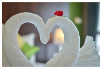 Two towel swans on a bed with a red rose