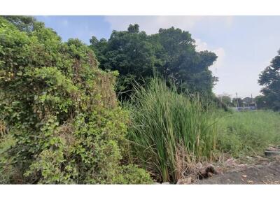 2,200 Sqm. Land listed for ฿ 27,500,000.